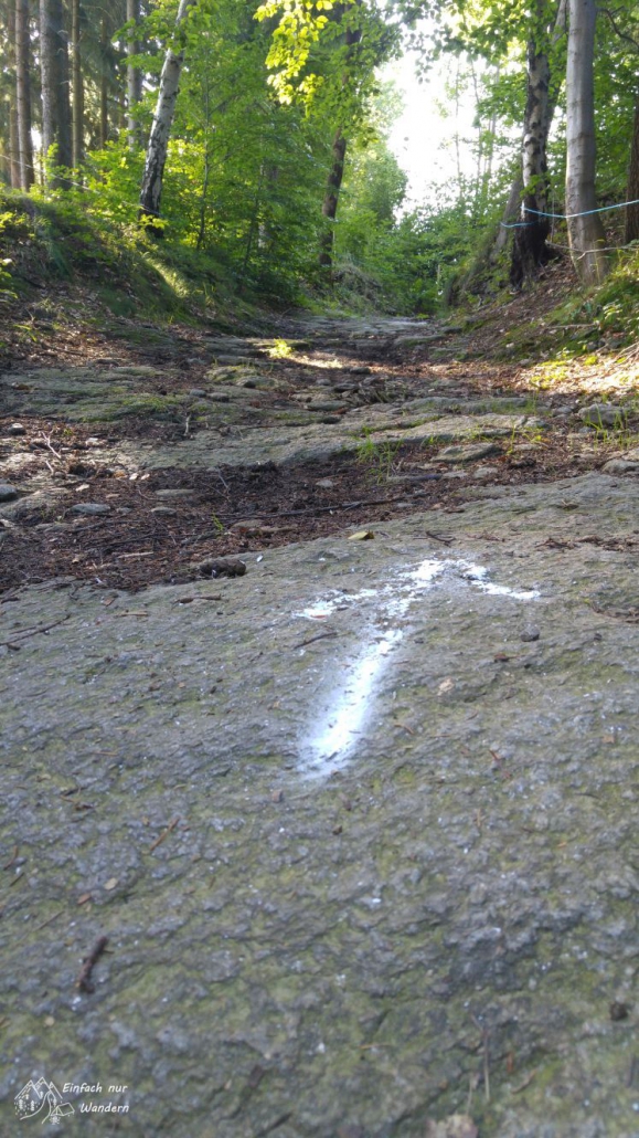 Ein weißer Pfeil am Boden dient als Wegmarkierung.